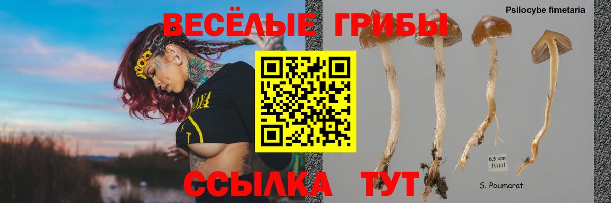 Галлюциногенные грибы GOLDEN TEACHER  Вход с VPN  Малгобек 